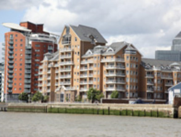 Co-operative and Condominium Law practice